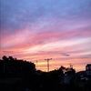 tess_railton